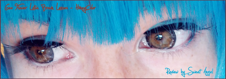 Geo Flower Lotus Brown