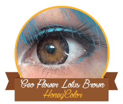 review_honeycolor_geoflowerlotusbrown